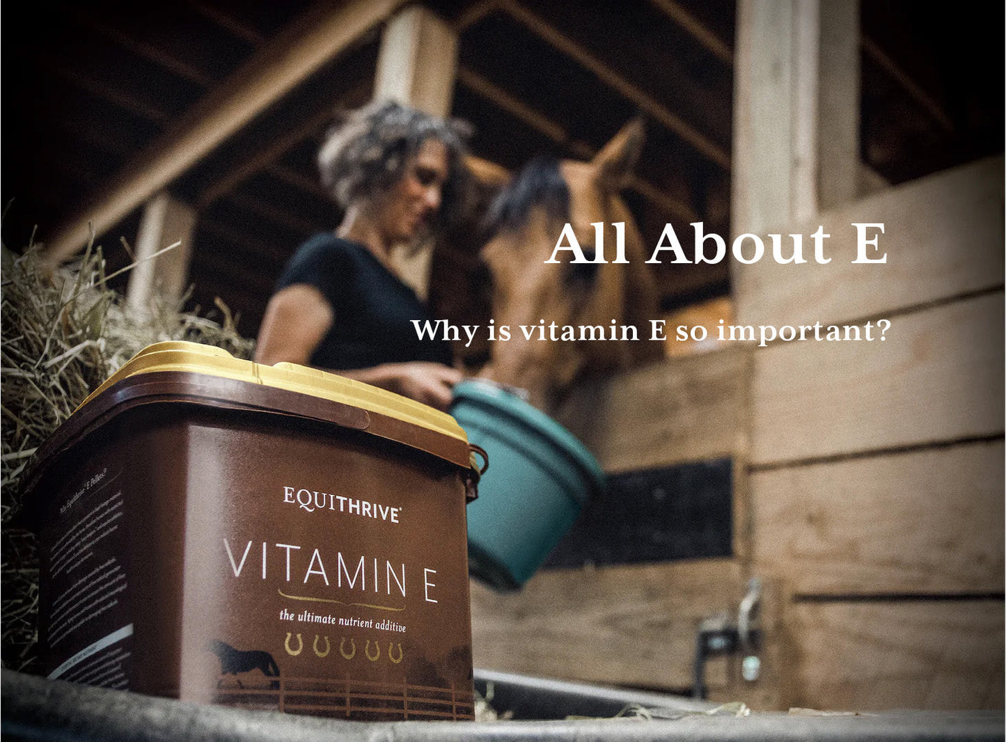 Equithrive Vitamin E supplement container in a barn with a woman and horse in the back; text asks why vitamin E is important.