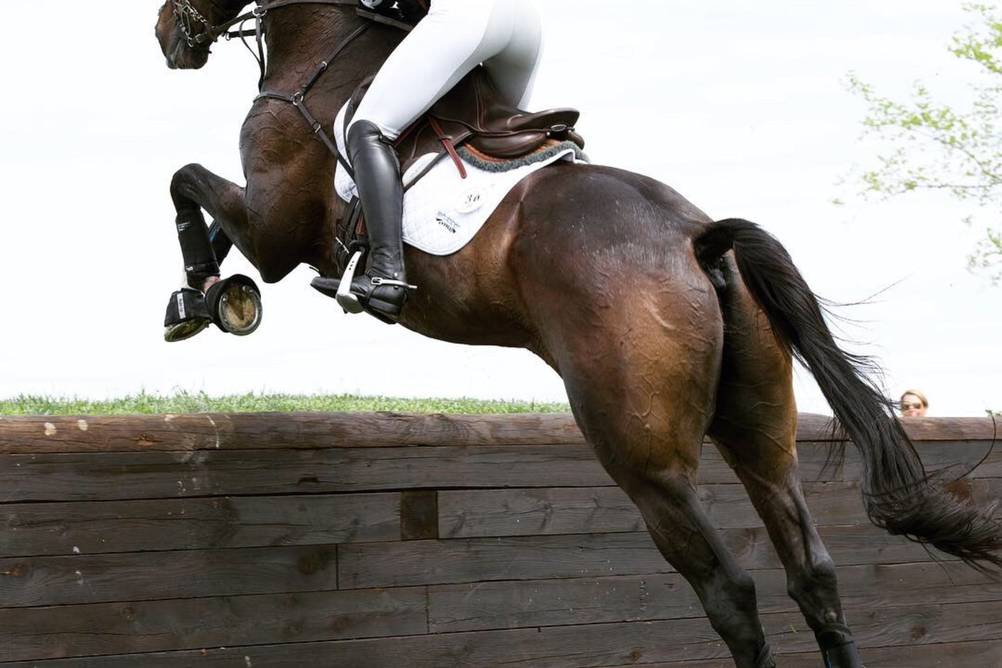 Horse and rider mid-jump over a wooden obstacle during an equestrian event, with the horse’s muscles & tack in sharp detail.