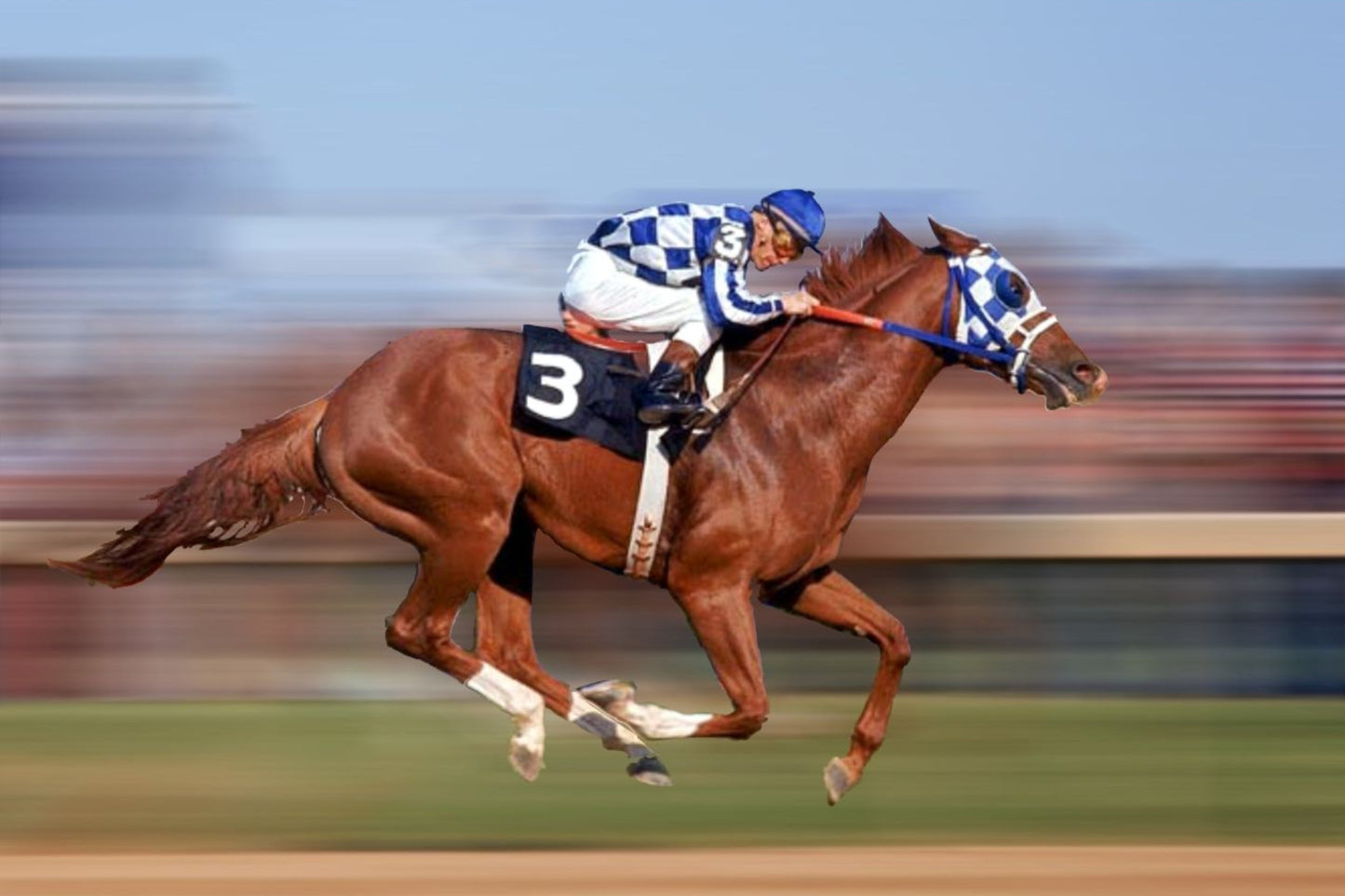 Racehorse with jockey in blue and white silks, number 3, galloping at high speed on a racetrack.
