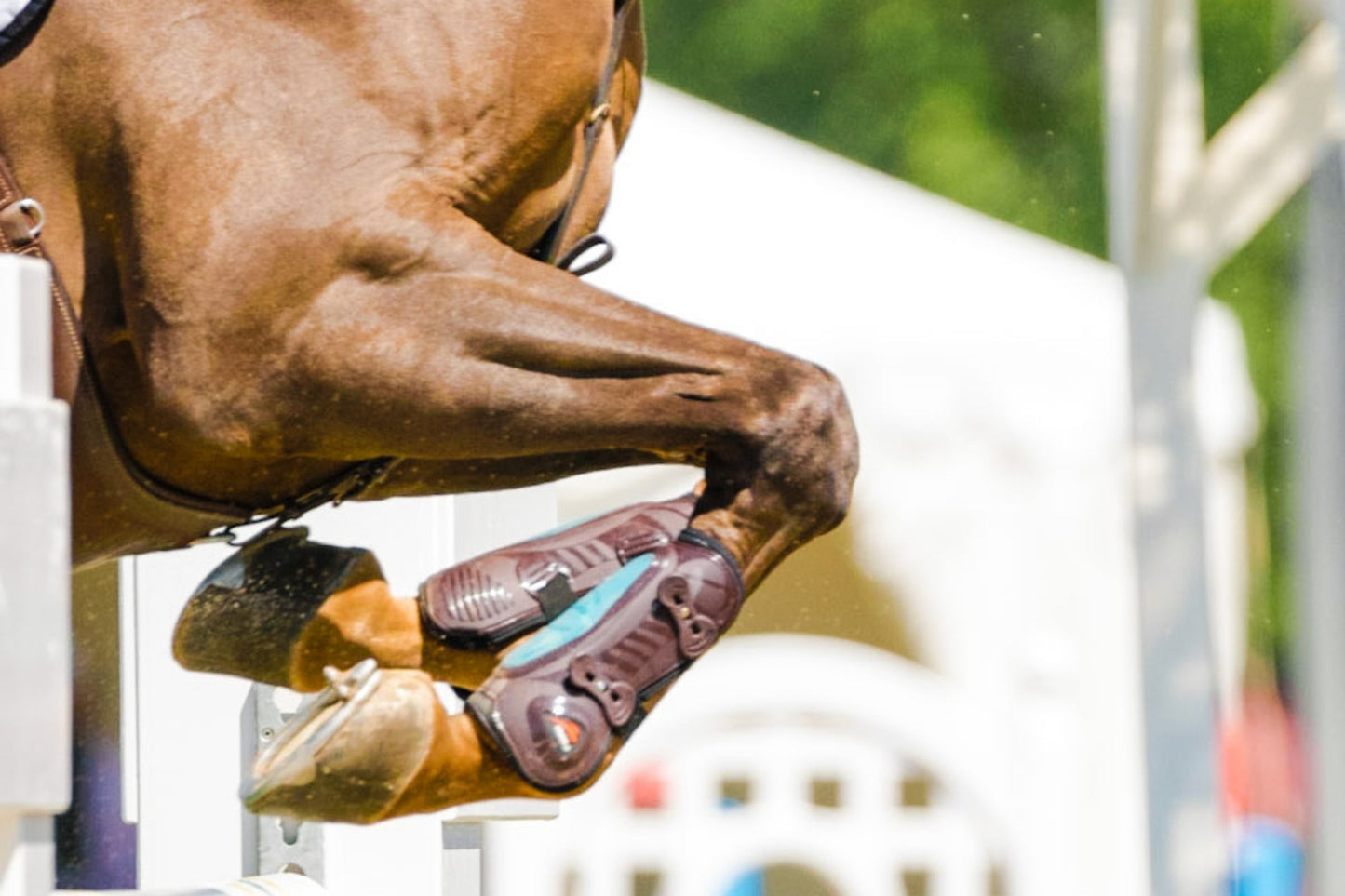 Close-up of a horse’s legs mid-jump during an event, wearing protective boots & clearing a jump with powerful motion.