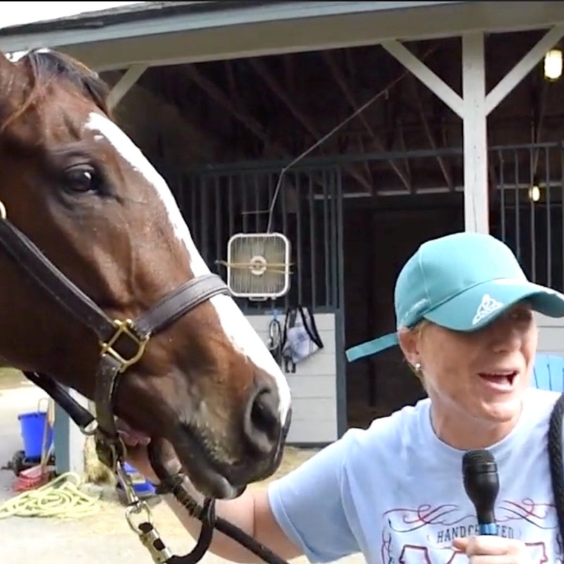 Dr. Shannon Reed in a blue cap holding a microphone while standing beside Jake the brown horse near a stable.