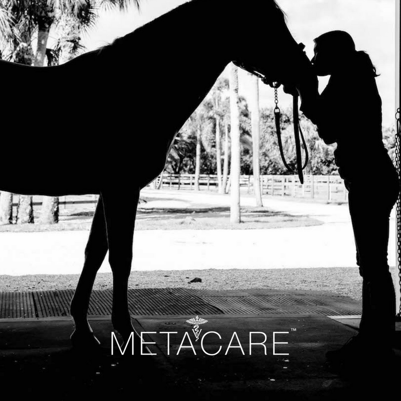 Silhouette of a woman kissing a horse's face in a stable with "METACARE" text at the bottom of the image.