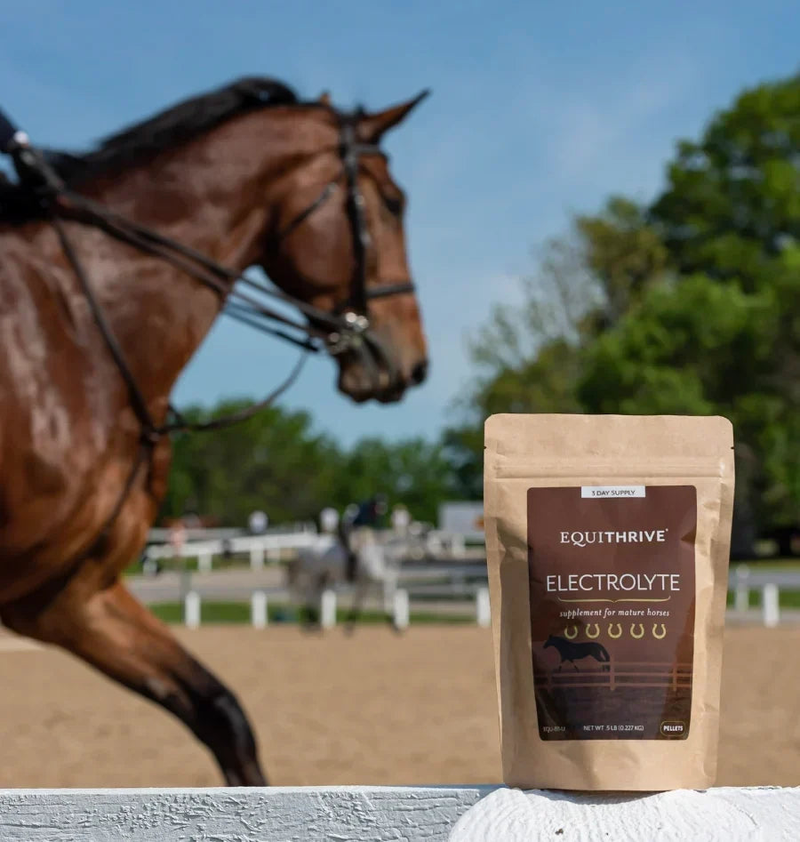 The Ultimate Guide to Electrolyte Supplements for Horses