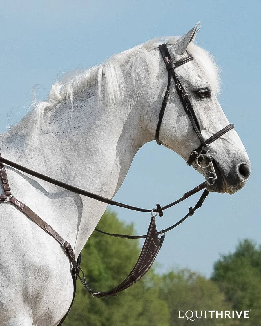 Why Vitamin E Matters for Horses: A Complete Guide