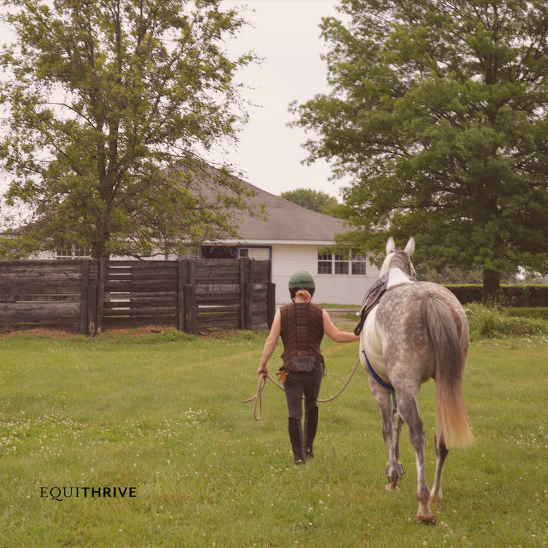 Person leading a gray horse across a grassy field toward a barn, with Equithrive logo in the corner.