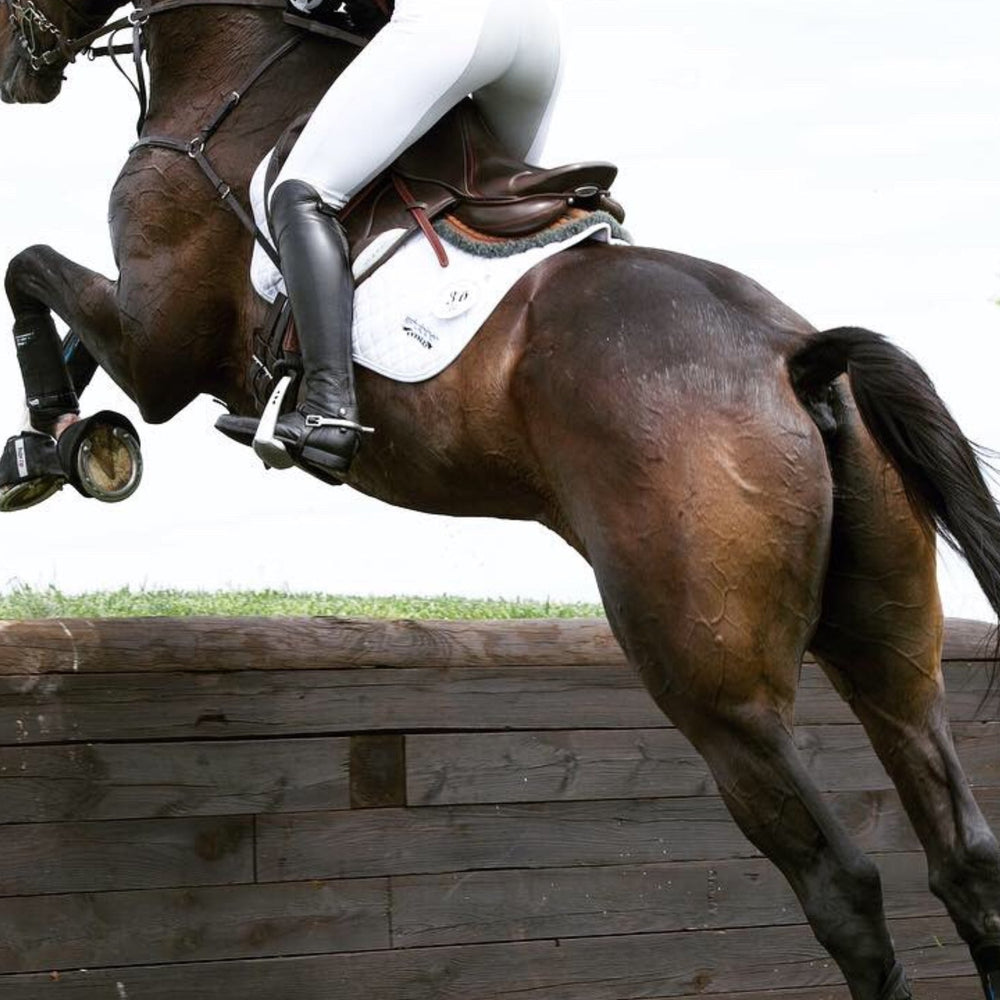 Horse and rider mid-jump over a wooden obstacle during an equestrian event, with the horse’s muscles & tack in sharp detail.
