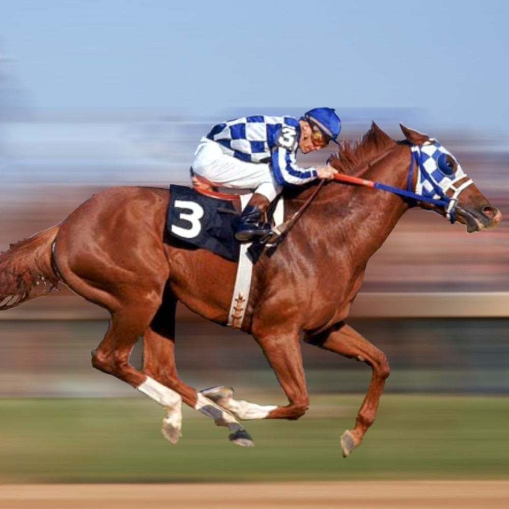 Racehorse with jockey in blue and white silks, number 3, galloping at high speed on a racetrack.