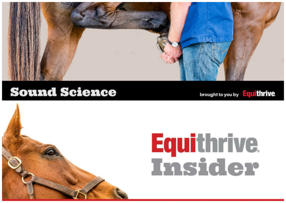 EQUITHRIVE® LAUNCHES E-NEWSLETTERS: HORSE HEALTH, RESEARCH AND PROMOTIONS FEATURED