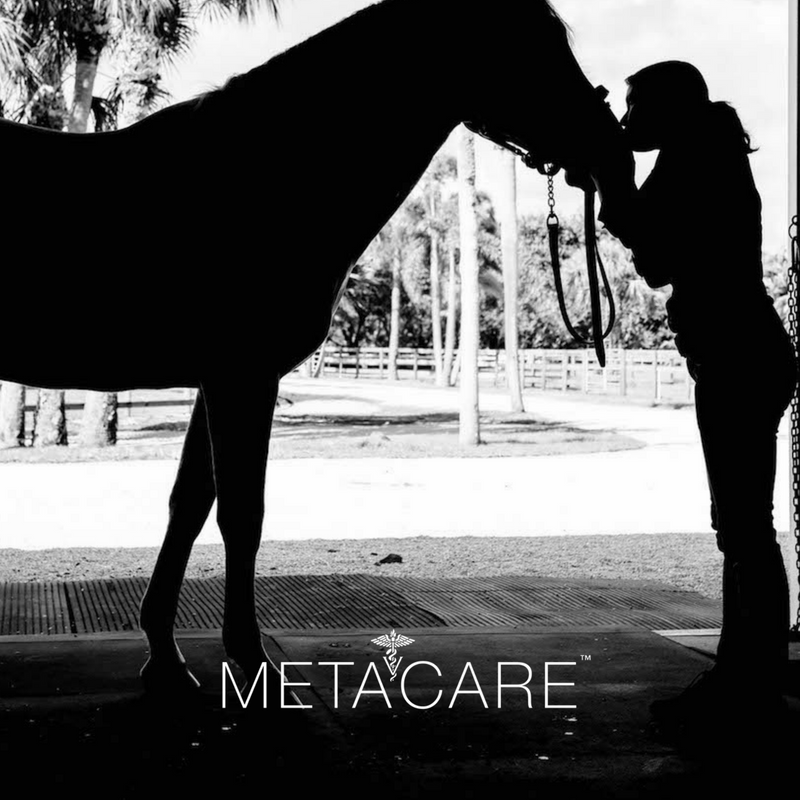 Introducing Metacare™ from Equithrive