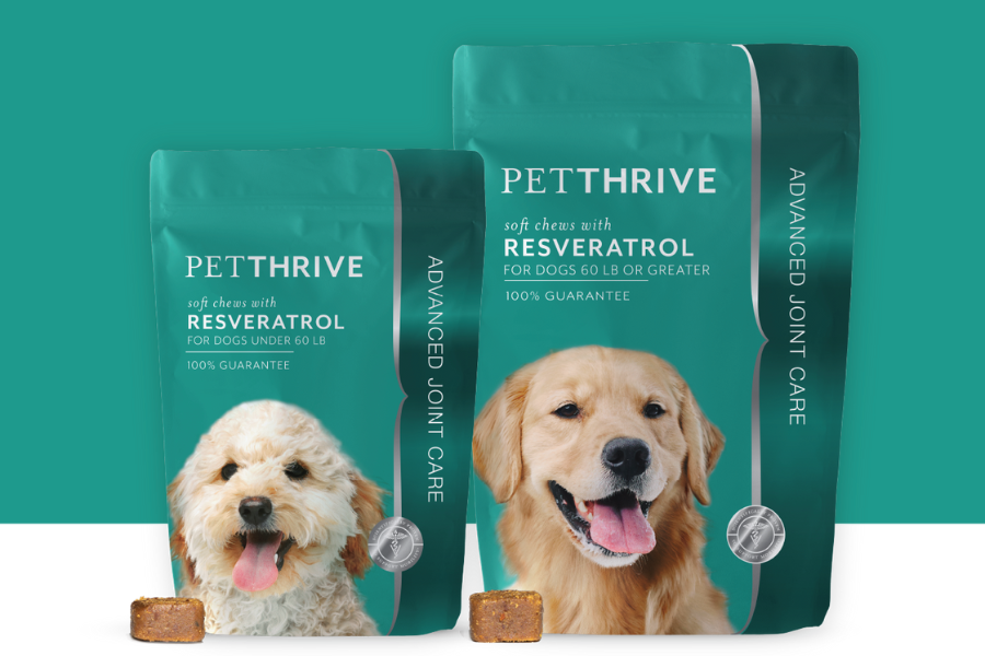 Petthrive Gets Even Better