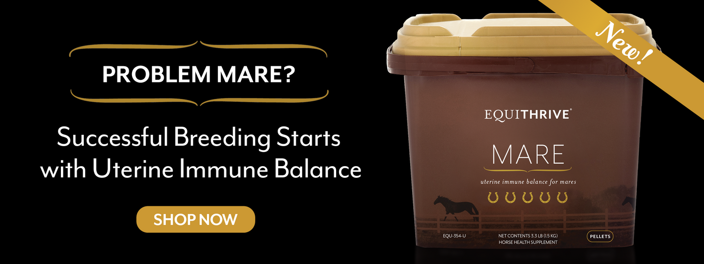 Equithrive Mare supplement container with text targeted uterine support for mares