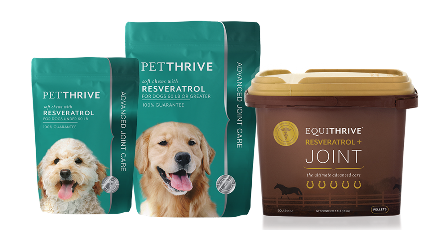 Petthrive soft chews with Resveratrol for dogs and Resveratrol + Joint supplement for horses, shown side by side for joint support.