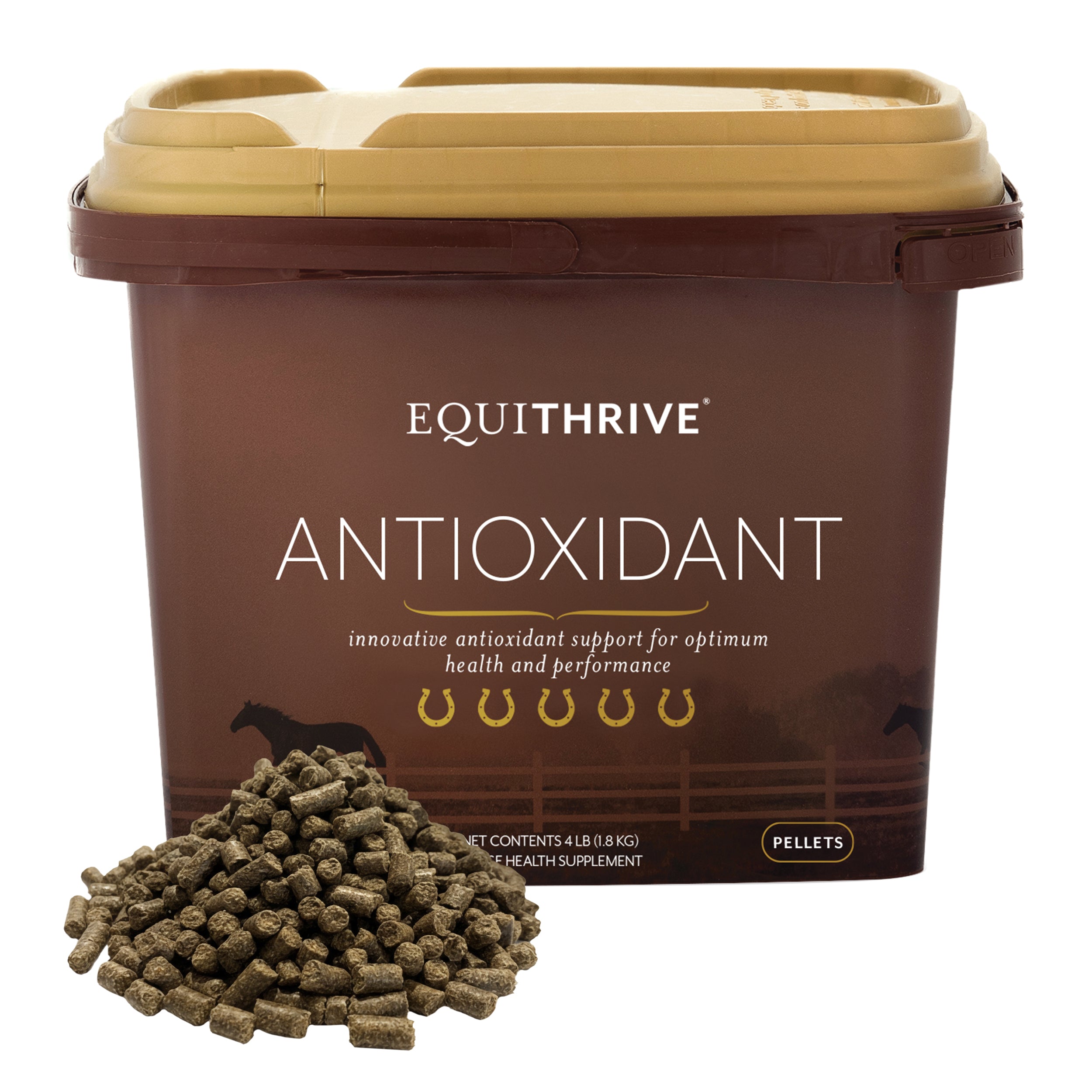 glutathione for horses The Power of Glutathione: Enhancing Recovery in Absorbed well and easily digested by horses Optimum GI Support for Horses