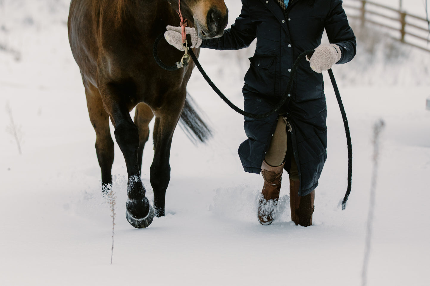 Person leading a horse through snow, highlighting the importance of equine joint supplements for mobility and joint health.