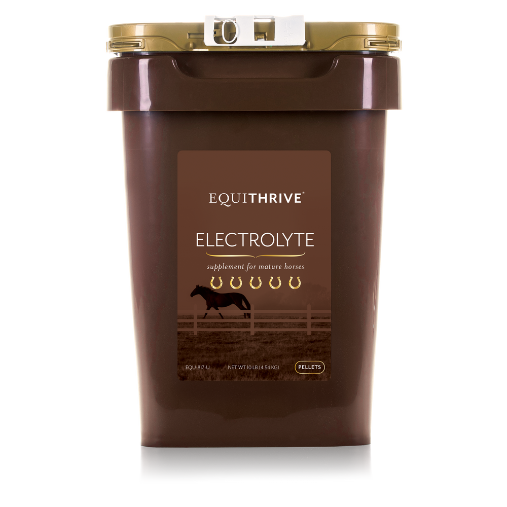 
                  
                    Electrolyte Pellets
                  
                