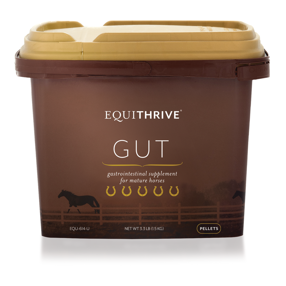 Equithrive® GUT Pellets
