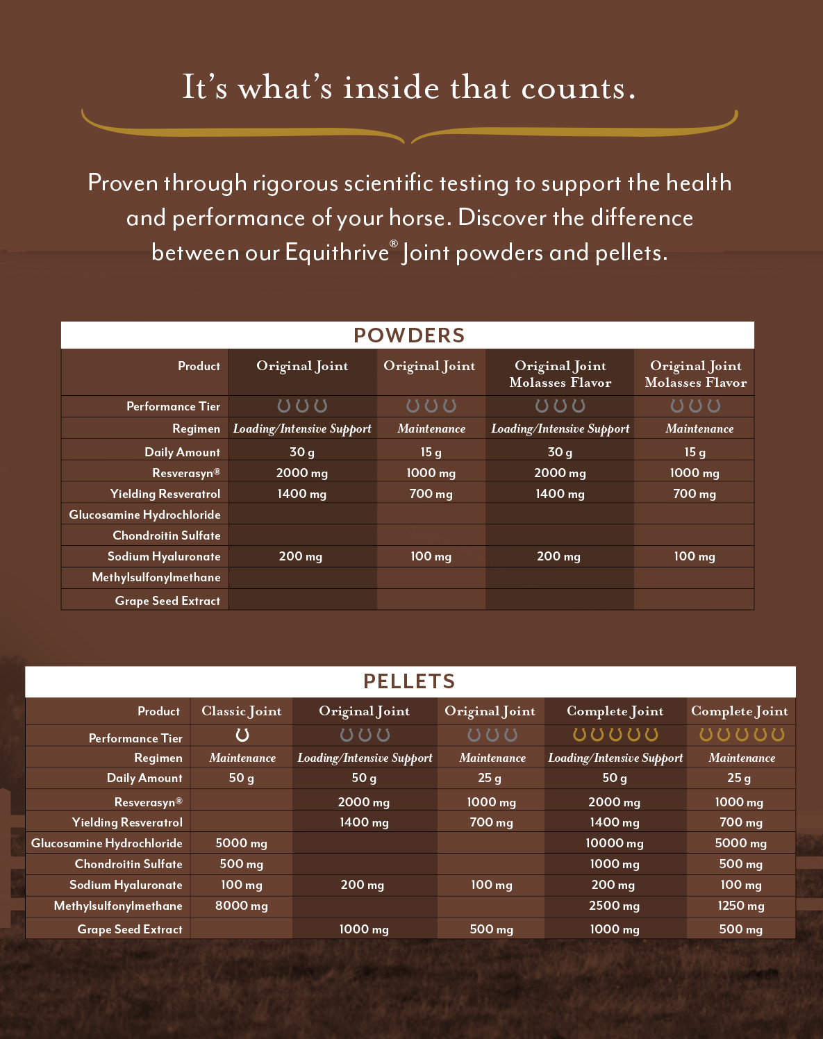 Equithrive® Original Joint Powder