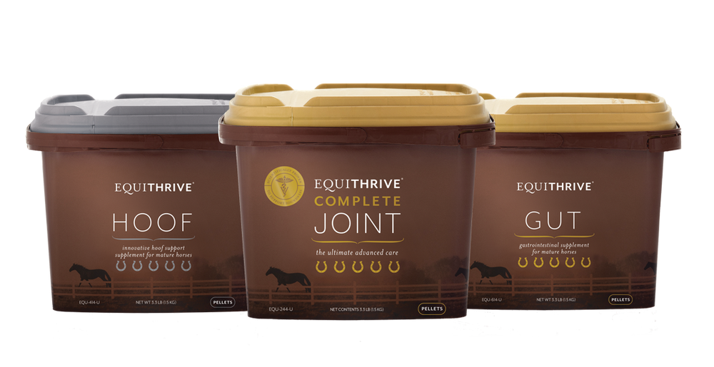 Equithrive