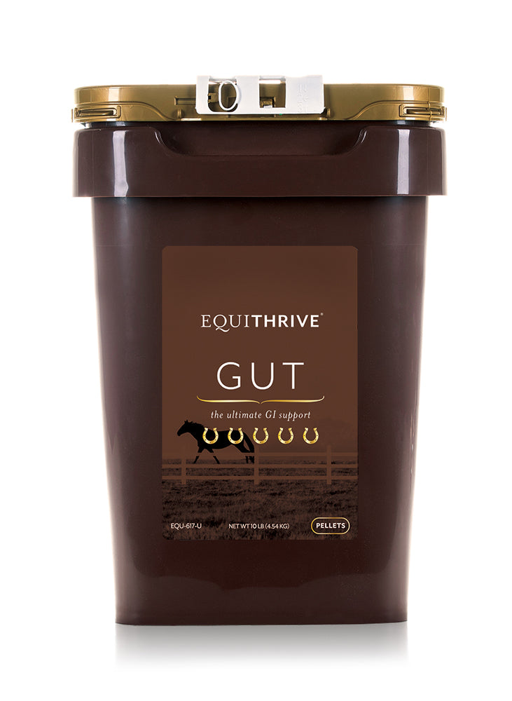 
                  
                    Equithrive® GUT Pellets (50lb)
                  
                