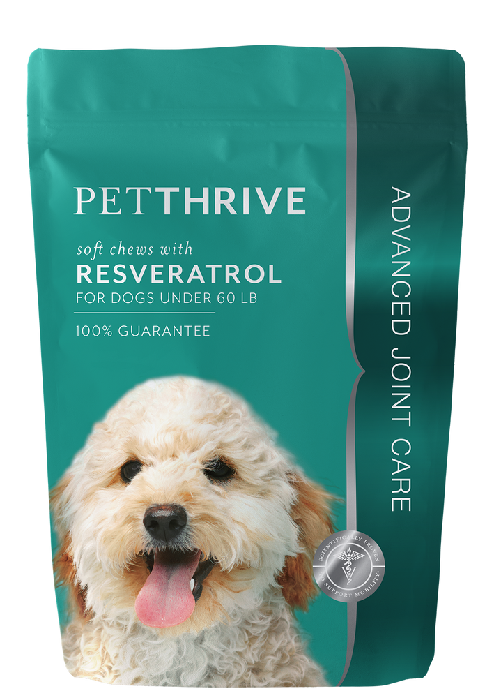 
                  
                    Petthrive Soft Chews With Resveratrol (Small Breed)
                  
                